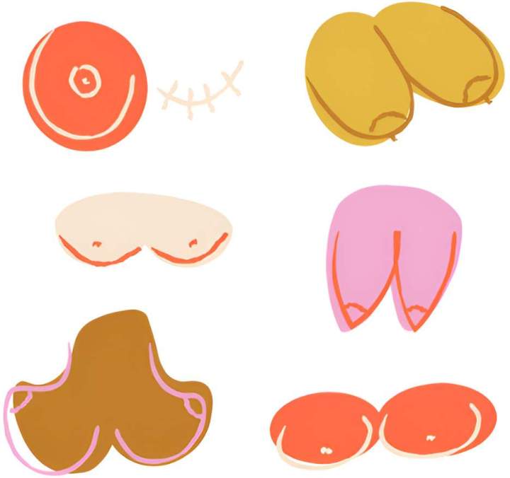 Illustrations partie anatomiques féminines Martinique